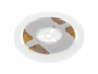 Strip Led Adesivo 5mt 24v Ip20 Luce Continua Reel Cob Dual Light 10w mt 120°800lm/mt 4000k | GTV - immagine 7